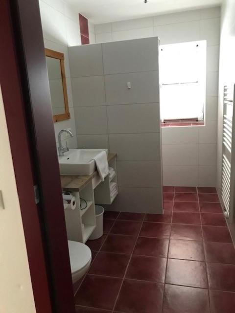Appartement Zum Roessl رامساو أم داتشستين المظهر الخارجي الصورة